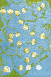 Fluffy Seedheads, 2012